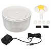 Cat Water Fountain Automatic Circulation USB Transparent Water Tank Silent