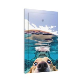 WUYOCHA Decorative Light Switch Plate Covers Angry Shark Chased Funny Dog Underwater Sea 1 Gang No Device Switch Cover Plate Single Blank Wall Plate Switchplate Electrical Faceplate