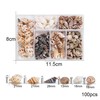 MQWDGJ Shells, 100 Pieces 1-3 cm Shells Decoration, Shells for