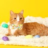 Easter Cat Collar with Bow Tie 2Pack Adjustable Breakaway Safety