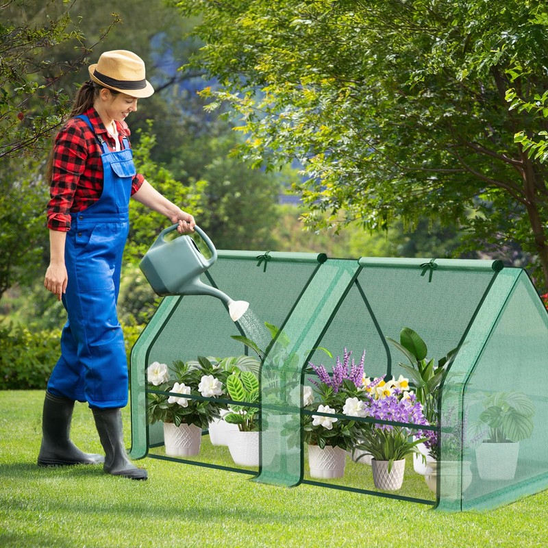 Aoodor 6 x 3 x 3 ft Mini Greenhouse with