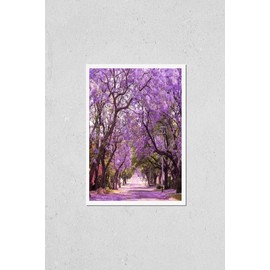 Poster Reproduction of Stunning alley with wonderful violet vibrant jacaranda in bloom. Tenderness. Romantic style. Spring in South Africa. Pretoria. Artistic retouching. Ideal background for