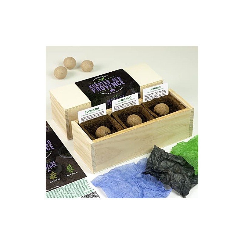 Resetea Cultivation set herbs of Provence, rosemary, oregano and thyme