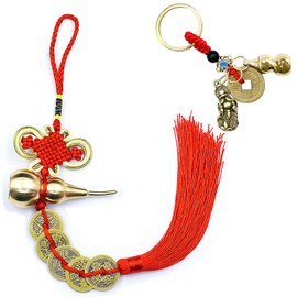 1PCS Chinese New Year Lucky Coins Charm Gourd Chinese Knot Tassel and 1PCS Feng Shui Key Chains Gourd with PIXIU Coin, Hanging Tassel Pendant Bring Luck Healt Wealth for Home Car Decor