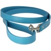 Vibrant Leather Dog Collar & Lead Combo Set for Puppy,