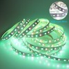 LEDENET RGB W WW 24V Flexible LED Strip Lighting Full