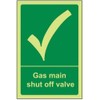 VSafety 23012AU-G "Gas Main Shut Off Control Valve" Safe Condition