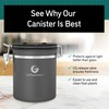 Coffee Gator Stainless Steel Coffee Canister - Keeps Ground Coffee