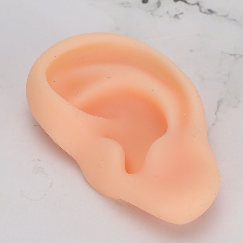 Professional Simulated Ear Model Acupuncture Practice Massage Teaching ToolLeft