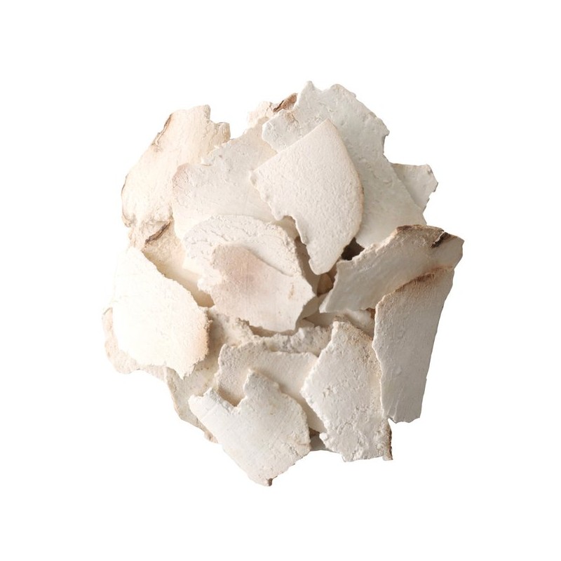 Donguihanjae 동의한재 중국산 햇 백복령 600g Dongi Hanjai Chinese Fresh