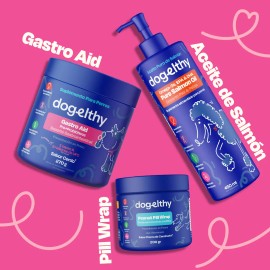 Dogelthy Happy Belly Kit Sabor Cerdo Con Gastro Aid