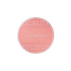 Jeongsaemmul Vibrant Blush Cheek Jeongsaemmool Artist Cushion Blush Blur / 생기블러치크 정샘물 아티스트 쿠션 블러쉬 블러