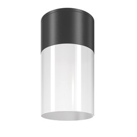 Willis Modern Ceiling Spotlight Outdoor Black and White, Aluminium and Plastic, IP54, for 1 x E27 Excl. Perfect for Entrance Area, Stair Lighting, Hall Lighting, Facades, Patios, Gardens