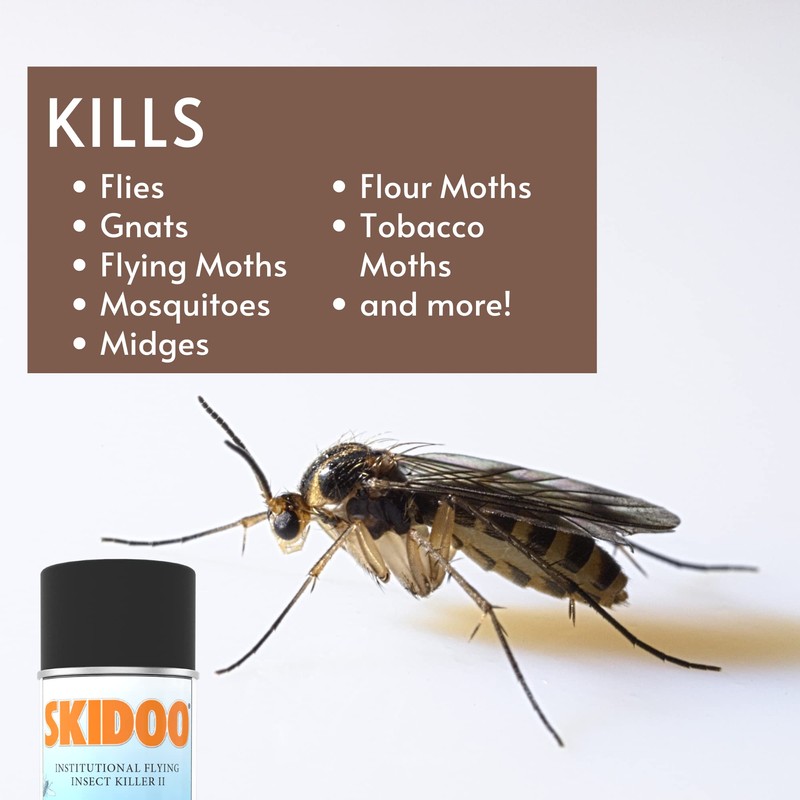 Diversey 5814919 Skidoo Institutional Flying Insect Killer II, EPA NSF