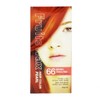 Fruit Wax Pearl No. 66 Cherry Red ) 10ea