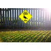 Metal Tin Sign Wild Turkey Xing Crossing Caution Animal Farm