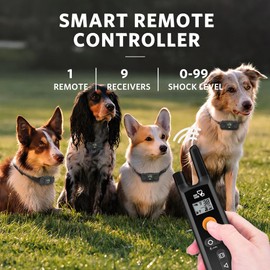 Dog Training Collar - Rechargeable Dog Shock Collar with Beep, Vibration and 3 Training Modes, Rainproof, Long Remote Range, Adjustable Shock Levels for Dogs with Remote