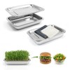 2 Pcs Stainless Steel Seed Sprouting Trays with Towel &