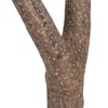Wooden Perch, Easy Installation Interactive Beak Grinding Bird Branch Perch
