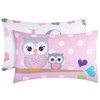 EVERYDAY KIDS 2-Pack Standard Size Pillowcases Fit Pillows 30 x