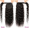 Ponytail Curly Wave Human Hair Clip in Hair Extension Curly