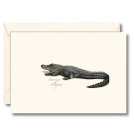 Earth Sky + Water - Alligator Notecard Set - 8 Blank Cards with Envelopes
