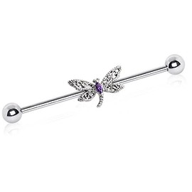 Pierced Owl 14GA 316L Stainless Steel Ornate Crystal Dragonfly Industrial Barbell
