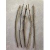Goji Berry 5 Goji Berry Plant Cutting 6” Each Stick