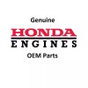 Honda Genuine Honda 81320-VH7-D00 Fabric Grass Bag Fits HRX217K1 K2