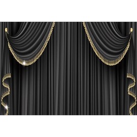 Xiaoterna 2.5 x 1.8 m 3D Black Curtain Background VIP Customer Awards Photo Background Black Gold Glitter Tassel Backdrop Birthday Party Decoration Adult Portrait Photo Studio Props