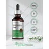 Horbäach White Willow Bark Extract Tincture | 2 Fl oz