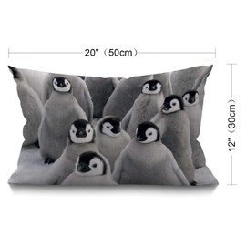 BGBDEIA Lovely Funny Penguins South Pole Cushion Cover Lumbar Pillow Covers Home Decorative Cotton Linen Pillow Case for Sofa Couch Housewarming Gifts Family Room Décor 30 x 50 cm 12 x 20 Inch
