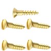 #4 x 3/8" Solid Brass Wood Screws Kit Hardware Oval
