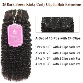 14 Inch Curly Clip In Hair Extensions Human Hair Afro Kinky Curly Clip Ins For Black Women 3C 4A 100% Real Brazilian Remy Hair #2 Dark Brown