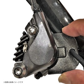 Ostrich (Ostrich) dyisukuro-ta- dami-ro-ta- Set of 2 YD – 4634 