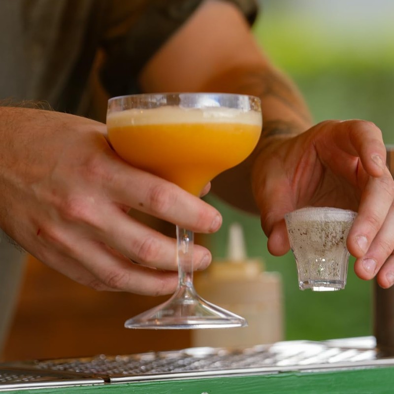 AIOS Unbreakable Polycarbonate Champagne Saucer/Coupe Glass 260ml (4)