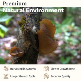 Wanhua Hall Premium Black Fungus Dried Woodear Mushrooms Ideal for Cooking in Hot Soups Crunchy Texture All-Natural Vegan-Friendly 7.05oz 秋耳 木耳 东北特级黑木耳