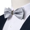 DiBanGu Mens Silk Tie and Bowtie Lapel Pin Tie Clip