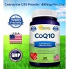 Squared Nutrition Coq10 Antioxidante Salud Corazon 200 Caps