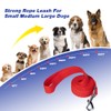 Dog/Puppy Obedience Recall Training Agility Lead 4ft 5ft 6ft 10ft