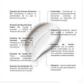 Reve Dermatologique Oxidermic Repair Crema 50ml Pieles Bajo Tratamientos Secantes Reparadora Hidratación Intensiva Confort