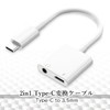 Type C Earphones, Convert, 2 in 1, 0.1 inch (3.5
