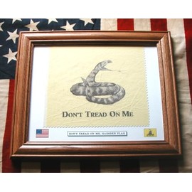 Framed American Revolutionary War Rattlesnake Flag...Gadsden Flag. Patriotic Wall Decor Art.