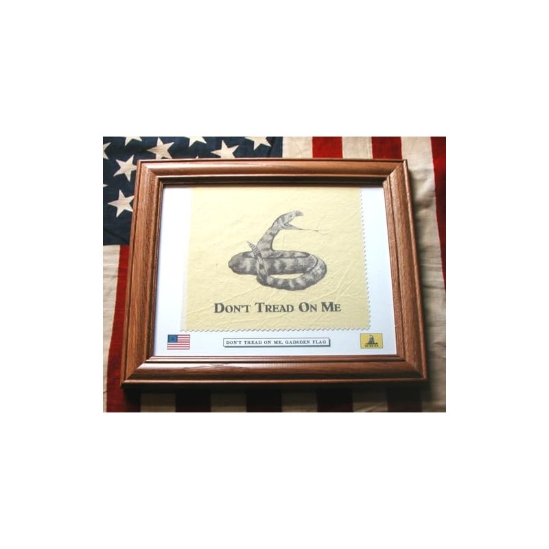 Framed American Revolutionary War Rattlesnake Flag...Gadsden Flag. Patriotic Wall Decor