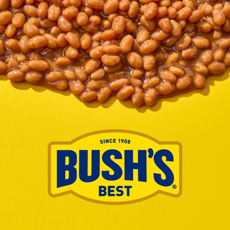 Bush's Best Homestyle Baked Beans 794 g
