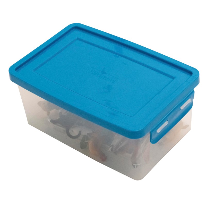 Betzold - Assigning Animals - Order Game Basic School