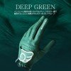 INCONTRO WINGS LEFT HAND MEN'S REDELAYS GOLF GLOVES (Green, #22