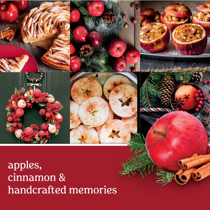 Yankee Candle Apple Wreath Scented Classic 22oz Large Jar Single