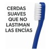 Cepillo Dientes Para Perro Gato 3 Pzas Doble Cabezal Mr