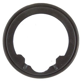 FEL-PRO 35731 Thermostat Gasket